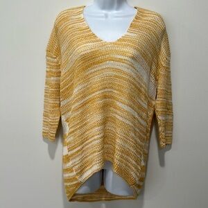 Express v-neck sweater
